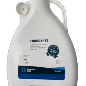 FORBOX FT X 5 LITROS